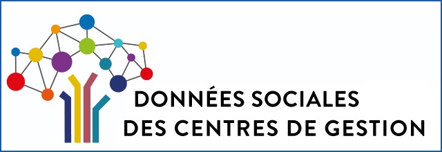 Saisie en ligne du bilan social 2019